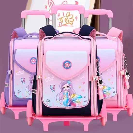 Cheap School Backpacks Removable Trolley School Bag School Backpacks Stylish Student Backpack 